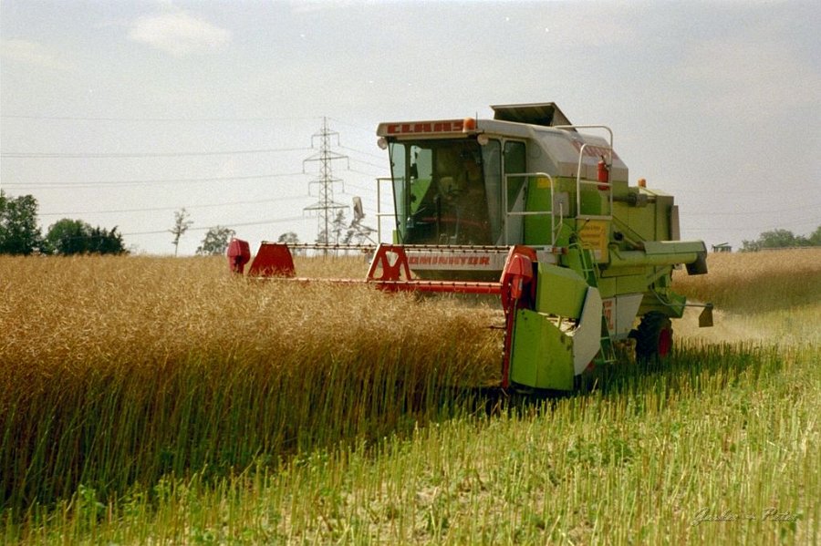 Claas Drescher 37